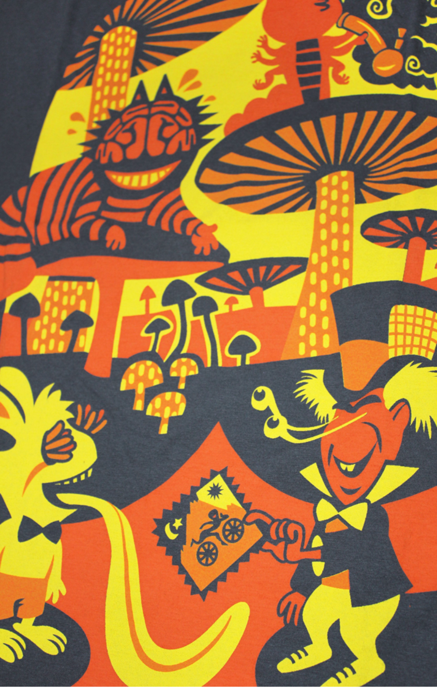 Camiseta Wonderland