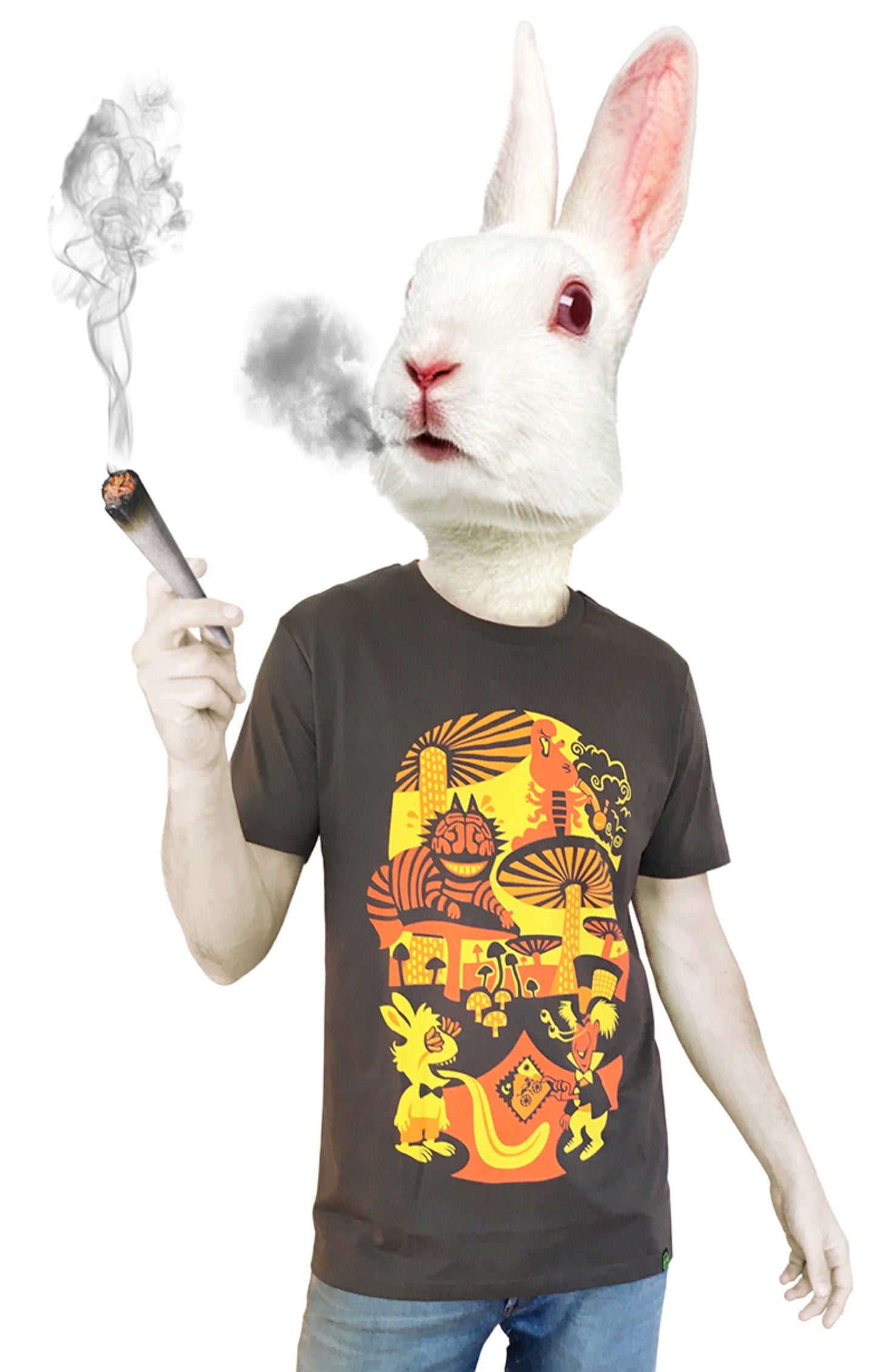 Camiseta Wonderland